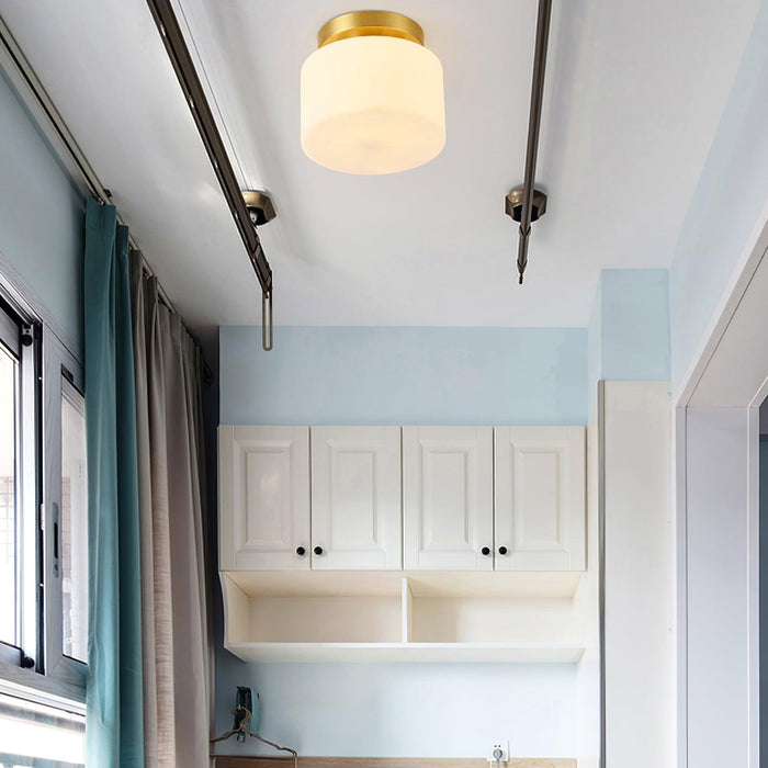 Clinio Flush Mount Ceiling Light-DWHOME