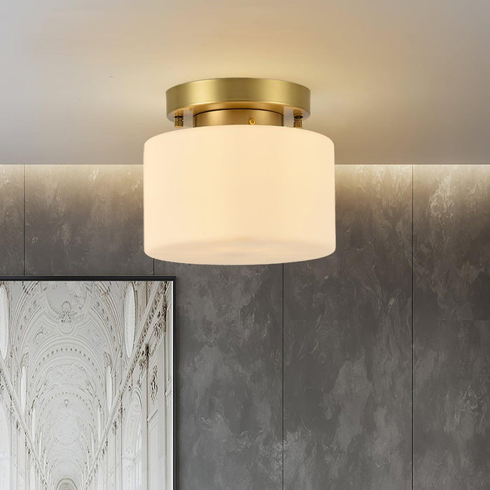 Clinio Flush Mount Ceiling Light-DWHOME
