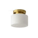 Clinio Flush Mount Ceiling Light-DWHOME
