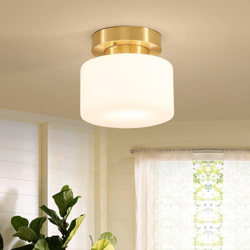 Clinio Flush Mount Ceiling Light-DWHOME