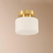 Clinio Flush Mount Ceiling Light-DWHOME