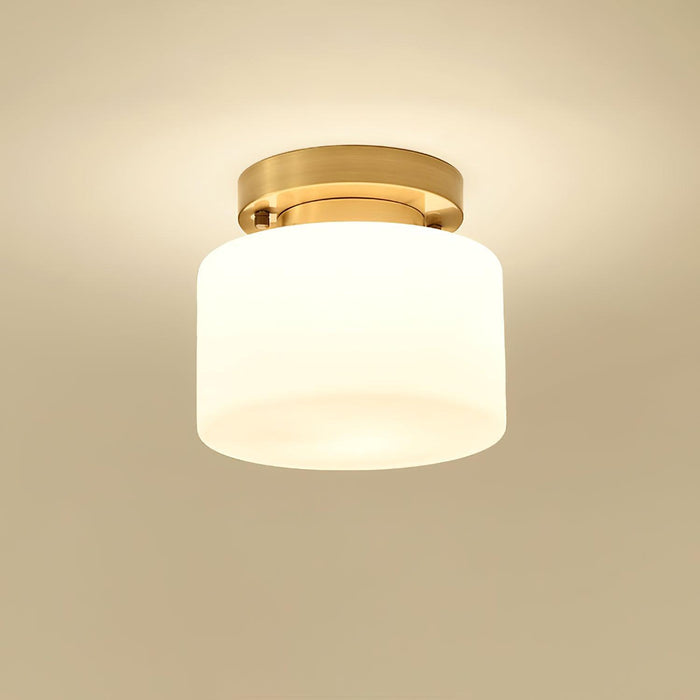 Clinio Flush Mount Ceiling Light-DWHOME