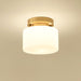 Clinio Flush Mount Ceiling Light-DWHOME