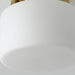 Clinio Flush Mount Ceiling Light-DWHOME