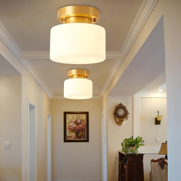 Clinio Flush Mount Ceiling Light-DWHOME