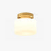Clinio Flush Mount Ceiling Light-DWHOME