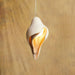 Conch Resin Pendant Lamp-DWHOME
