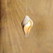 Conch Resin Pendant Lamp-DWHOME