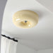 Swirl Glass Ceiling Lamp-DWHOME