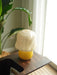 Creamy Mushroom Table Lamp - DWHOME