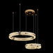 Creative Ring Chandelier-DWHOME