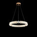 Creative Ring Chandelier-DWHOME