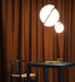 Crescent Pendant Lamp-DWHOME