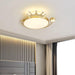 Crown Ceiling Light-DWHOME
