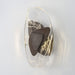 DC1725 Wall Lamp-DWHOME