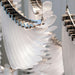 Bird Feather Wings Chandelier-DWHOME