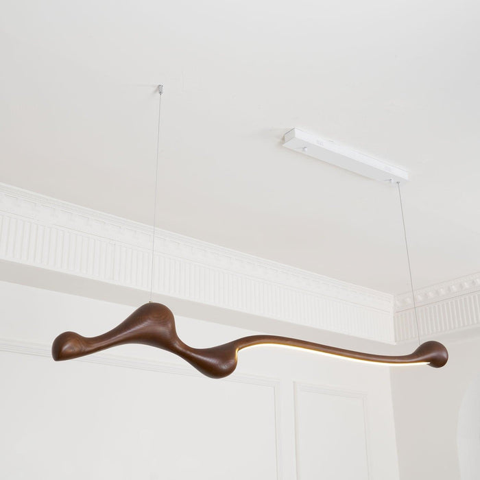 Curva Pendant Lamp-DWHOME