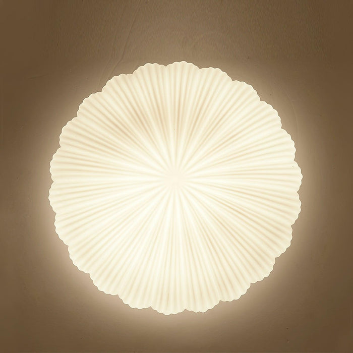 Devan Seashell Ceiling Lamp-DWHOME