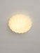 Devan Seashell Ceiling Lamp-DWHOME
