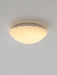 Devan Seashell Ceiling Lamp-DWHOME