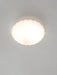 Devan Seashell Ceiling Lamp-DWHOME