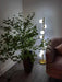 Doppler LED Tree Lamp-DWHOME