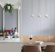 Restaurant Art LED Pendant Light-DWHOME