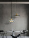Double Circle Pendant Light-DWHOME