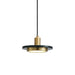 Double Circle Pendant Light-DWHOME