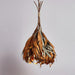 Dried Branch Leaf Pendant Lamp-DWHOME