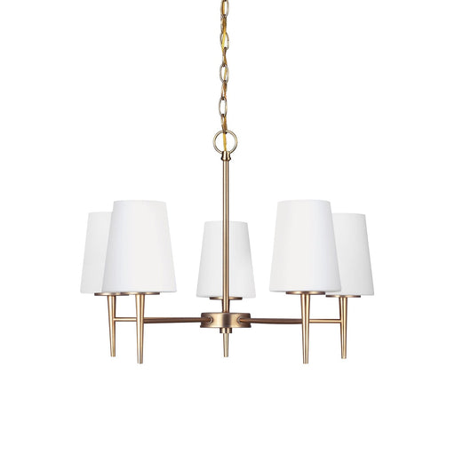 Driscoll Chandelier-DWHOME