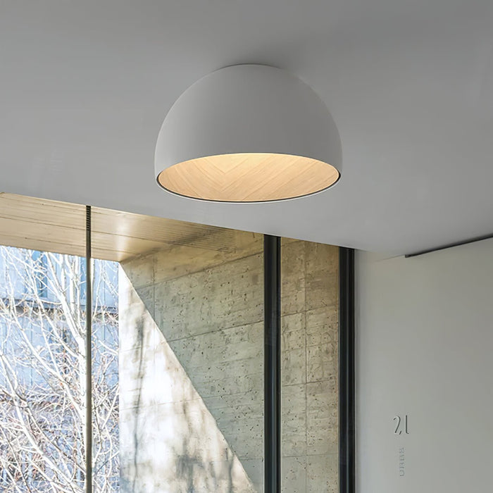 Duo Ceiling Lamp-DWHOME