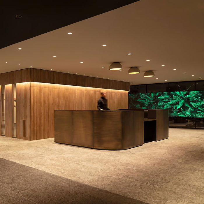 Duo Ceiling Lamp-DWHOME