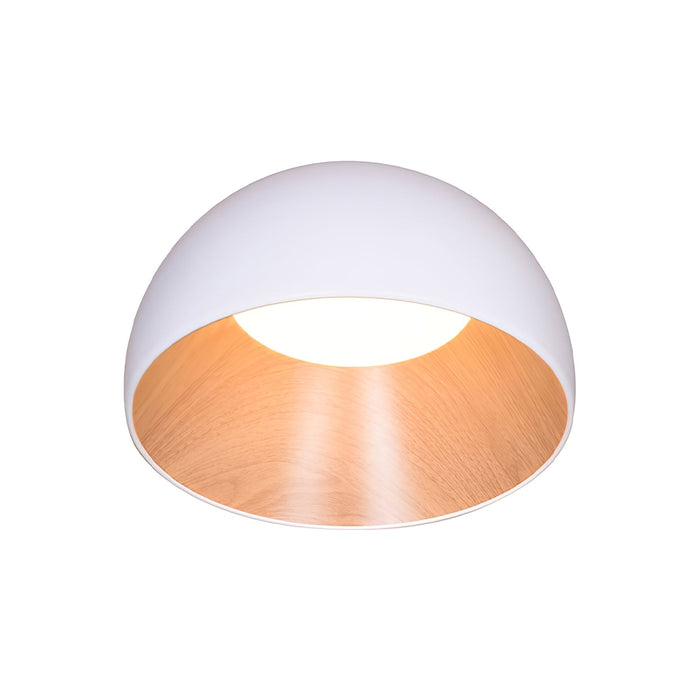 Duo Ceiling Lamp-DWHOME
