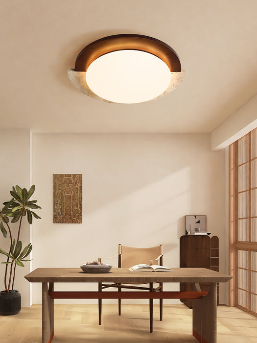 Eclipse Halo Ceiling Lamp-DWHOME