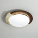 Eclipse Halo Ceiling Lamp-DWHOME