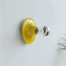 Eclipta Wall Sconce - Vakkerlight