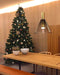 Eidos Collection Pendant Lamp - DWHOME