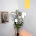 Elegant Murano Disc Iridescent Chandelier-DWHOME