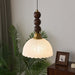 Eloria Pendant Light-DWHOME