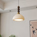 Eloria Pendant Light-DWHOME