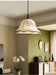 Emilia Floral Pendant Lamp-DWHOME