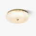 Enchanting Ceiling Light-DWHOME