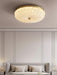 Enchanting Ceiling Light-DWHOME
