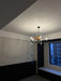 Erik Hoglund Chandelier-DWHOME