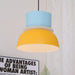 Etta Series Pendant Light-DWHOME
