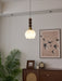 Evandra Pendant Light-DWHOME