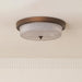 Fabula Ceiling Lamp-DWHOME