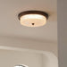 Fabula Ceiling Lamp-DWHOME