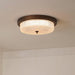 Fabula Ceiling Lamp-DWHOME